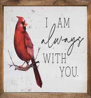 I Am Always With You Cardinal Whitewash